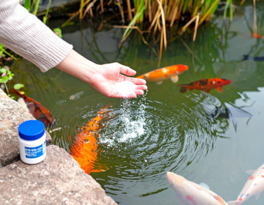 Fish pharmacy