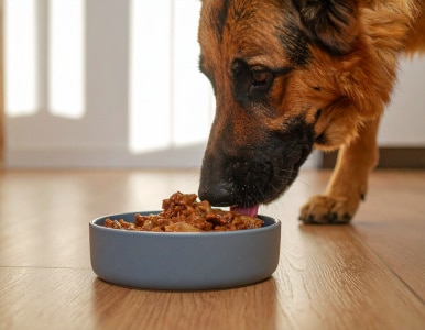 Hunde-Nassfutter