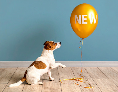 New in range for dogs