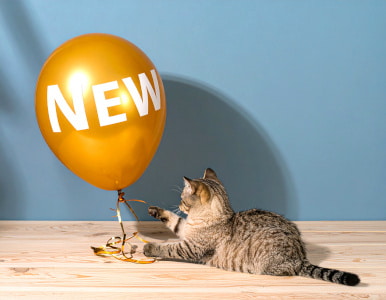 New in range for cats