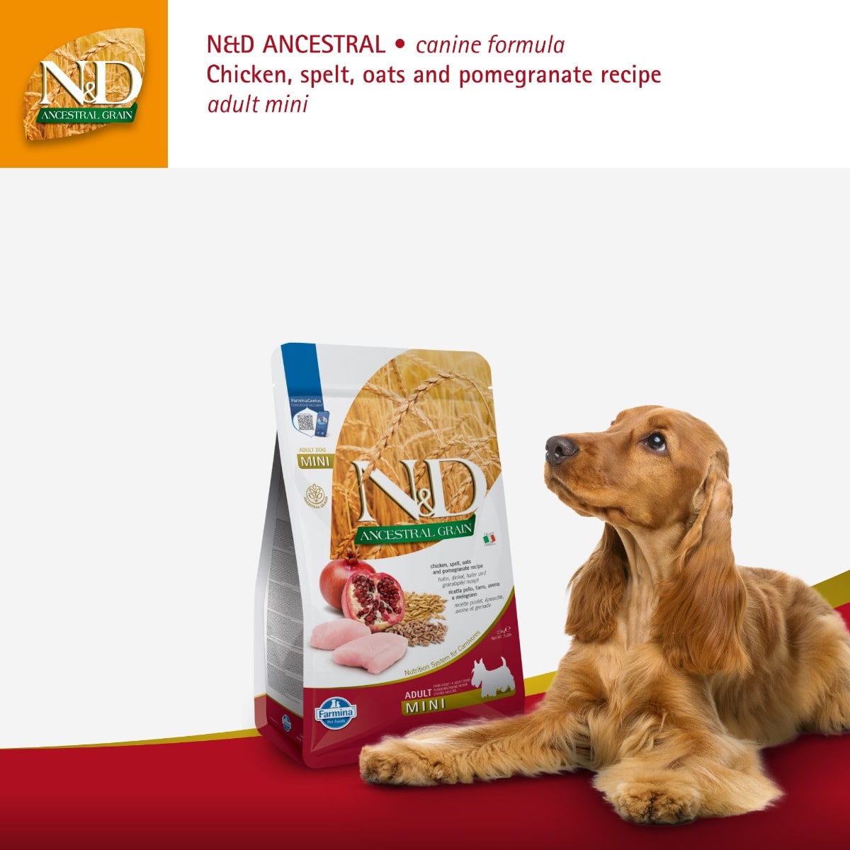 Canine Adult Mini Huhn Granatapfel iPet.ch Angebot