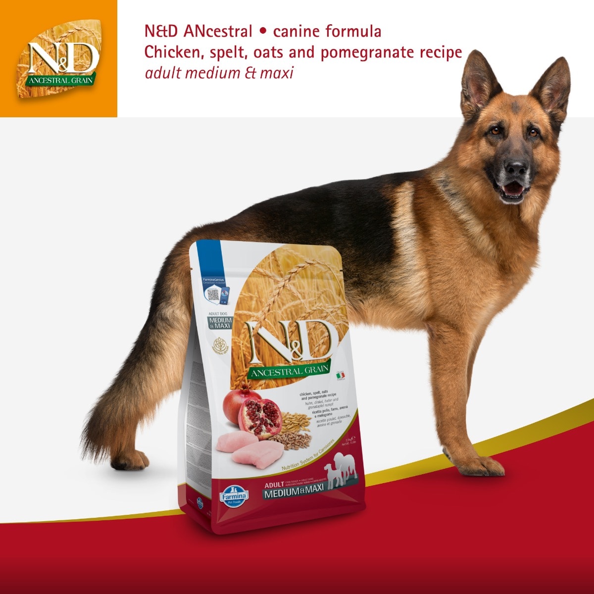 Canine Adult Medium/Maxi Huhn Granatapfel bei iPet