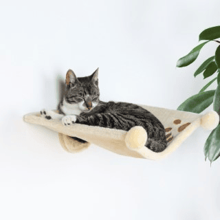 Set 3 Étapes De Mur Chat En Bois Pas Échelle D'escalade Pour