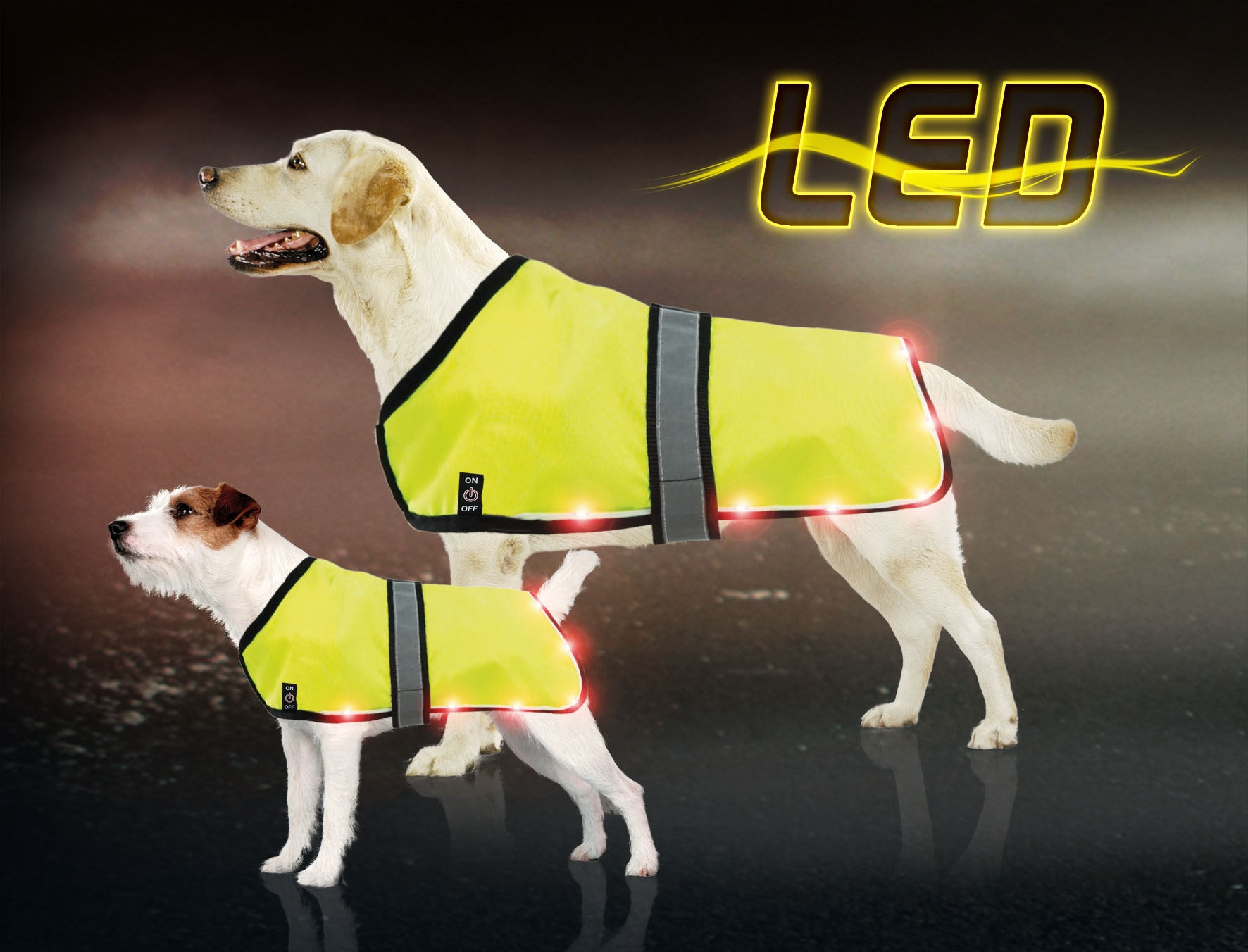 Collier lumineux chien, à LED, fluo ou réfléchissant