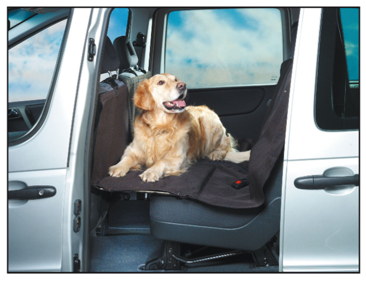 Autositzbezug für Hunde jetzt bei  bestellen