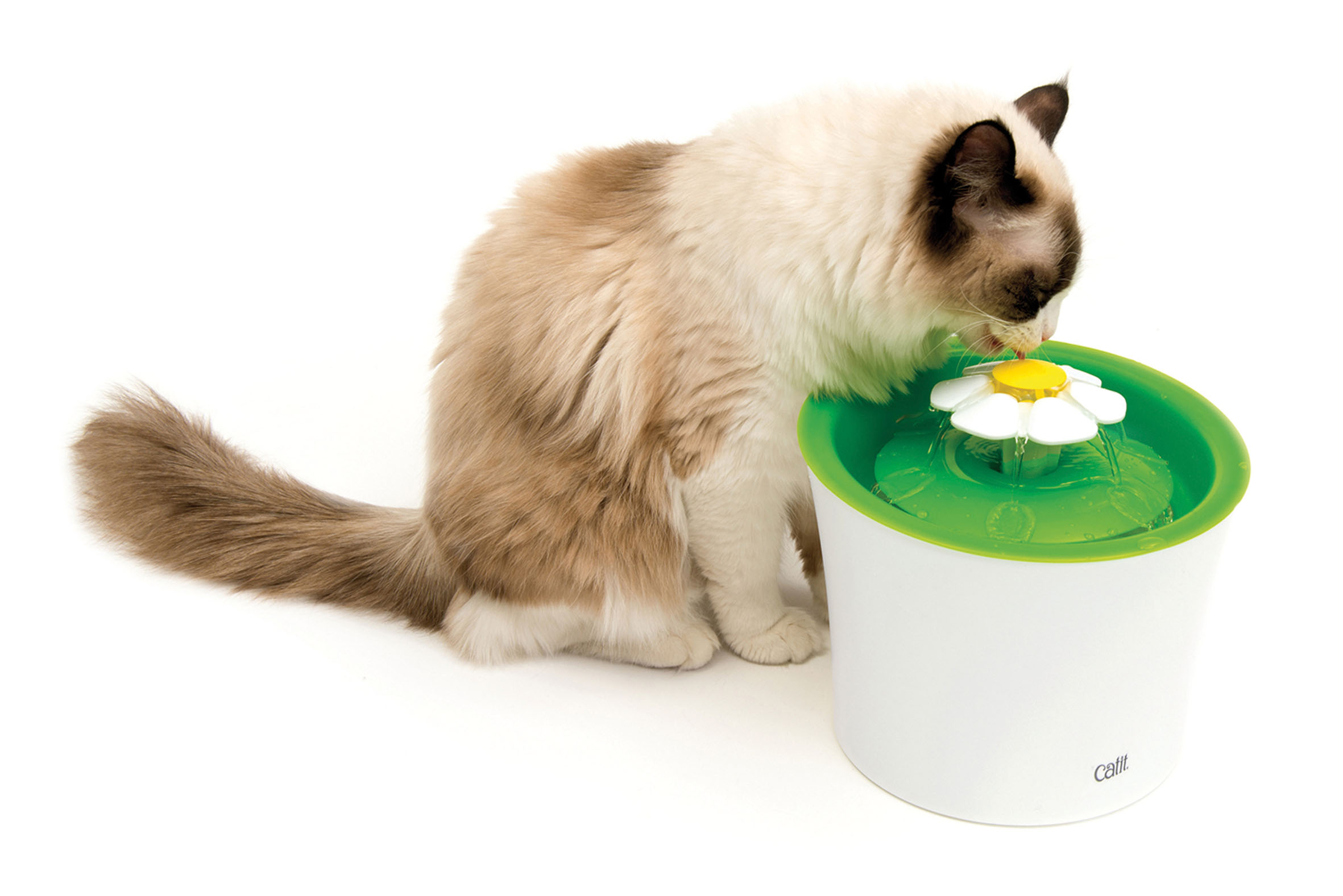 Distributeur Chat – Catit Fontaine à eau Flower coloris vert – 3 litres