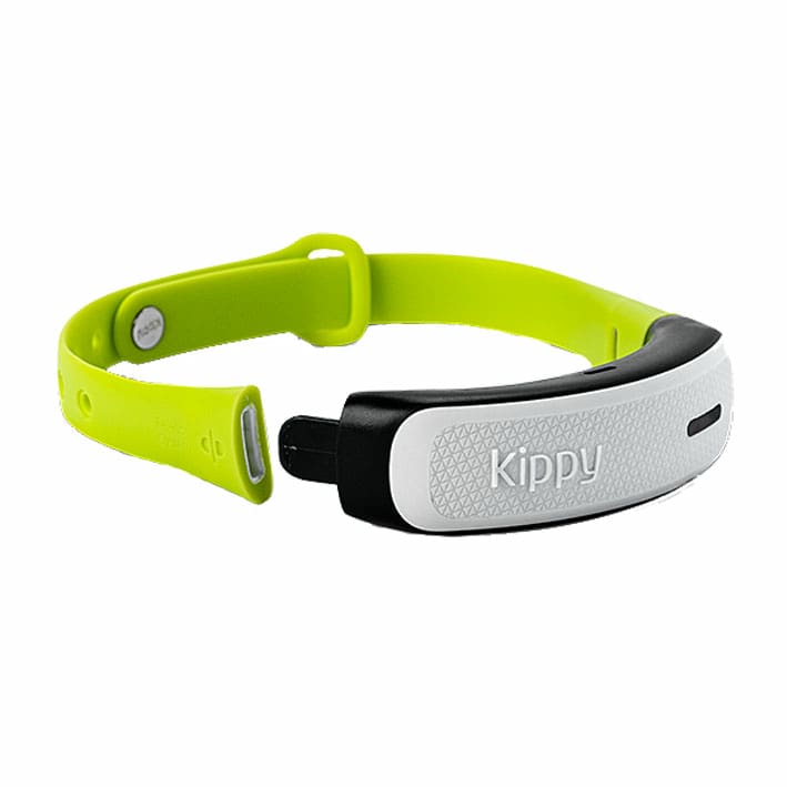 CAT GPS Collar for cats buy online | iPet.ch