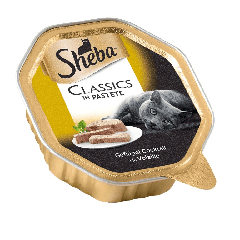 sheba classics in pate