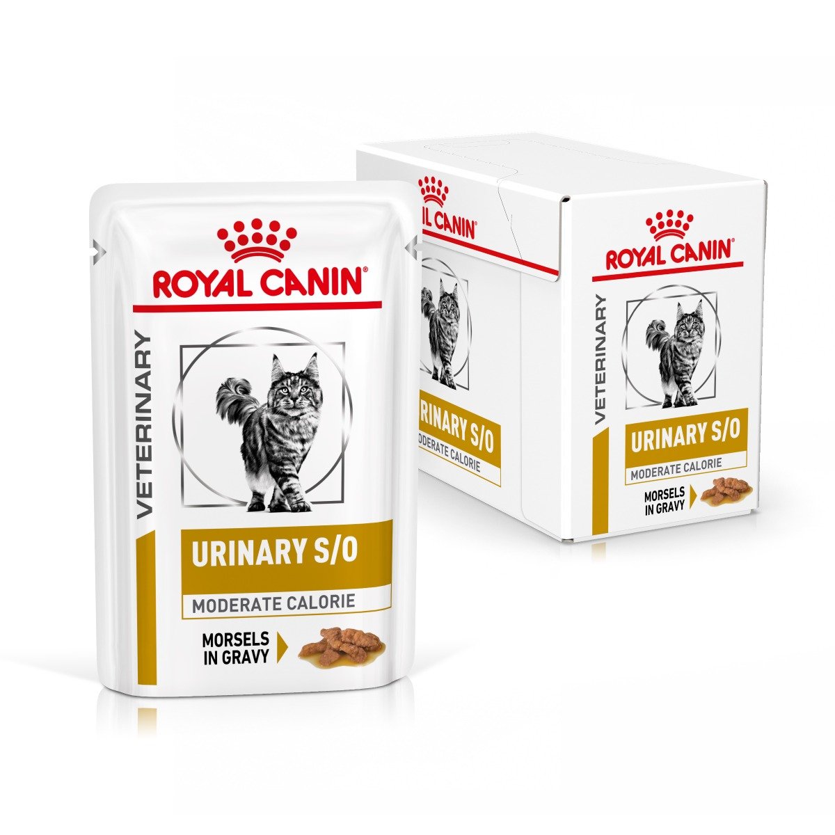 royal canin moderate calorie so