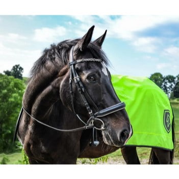 HKM Nierendecke -Reflective » Größe: 125 Cm, Farbe: Neongelb