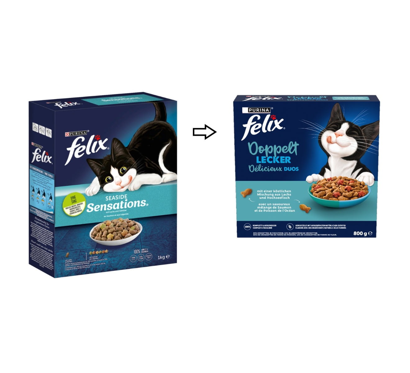 bio nassfutter fr hunde Nassfutter mit 100% Putenfleisch fr sensible Hunde