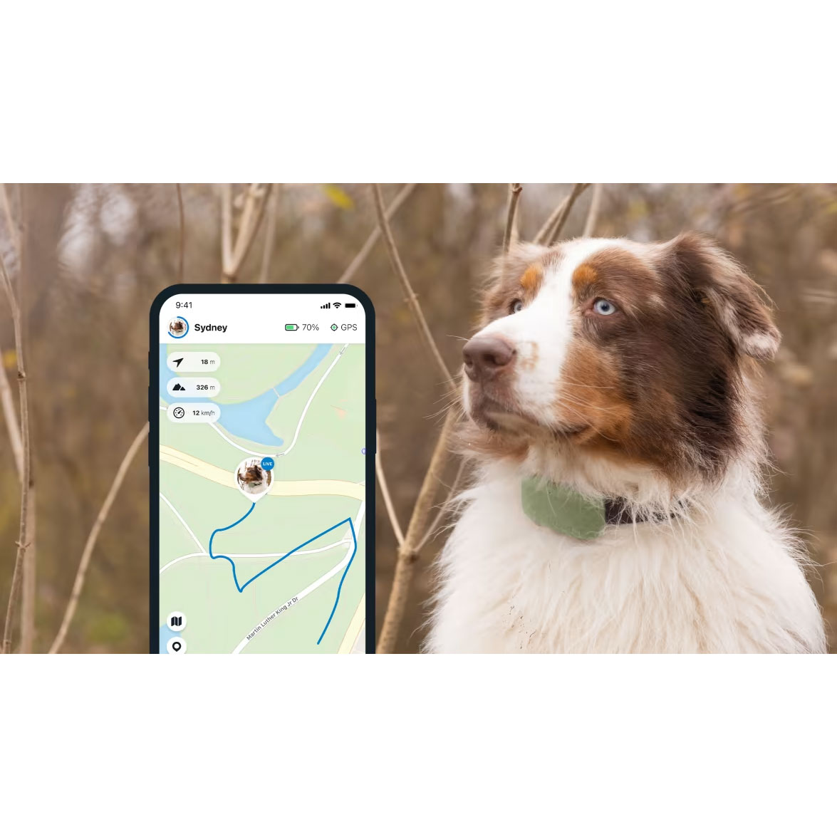 GPS TRACTIVE DOG 4 - COLLIER GPS POUR CHIEN AVEC SUIVI D ACTIVITÉ