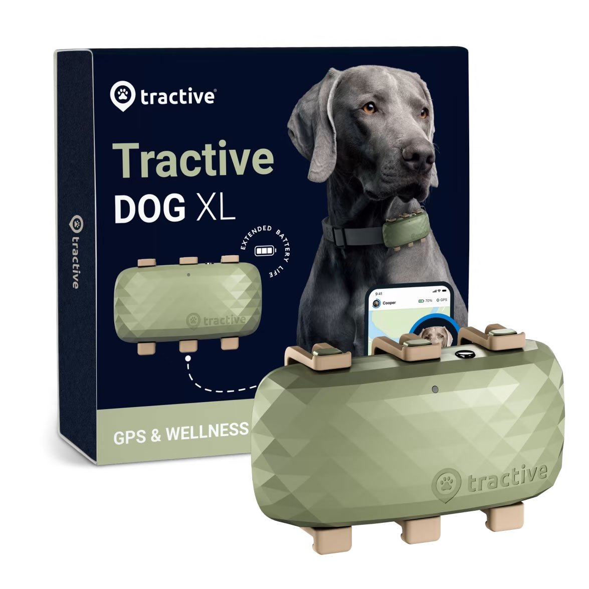 Traceur Tractive GPS Classic XL pour chiens : avis, test, prix