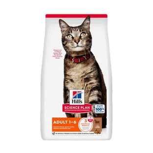 Feline Adult with Lamb