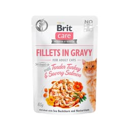 Care Cat - Fillets in Gravy with Tender Turkey & Savory Salmon