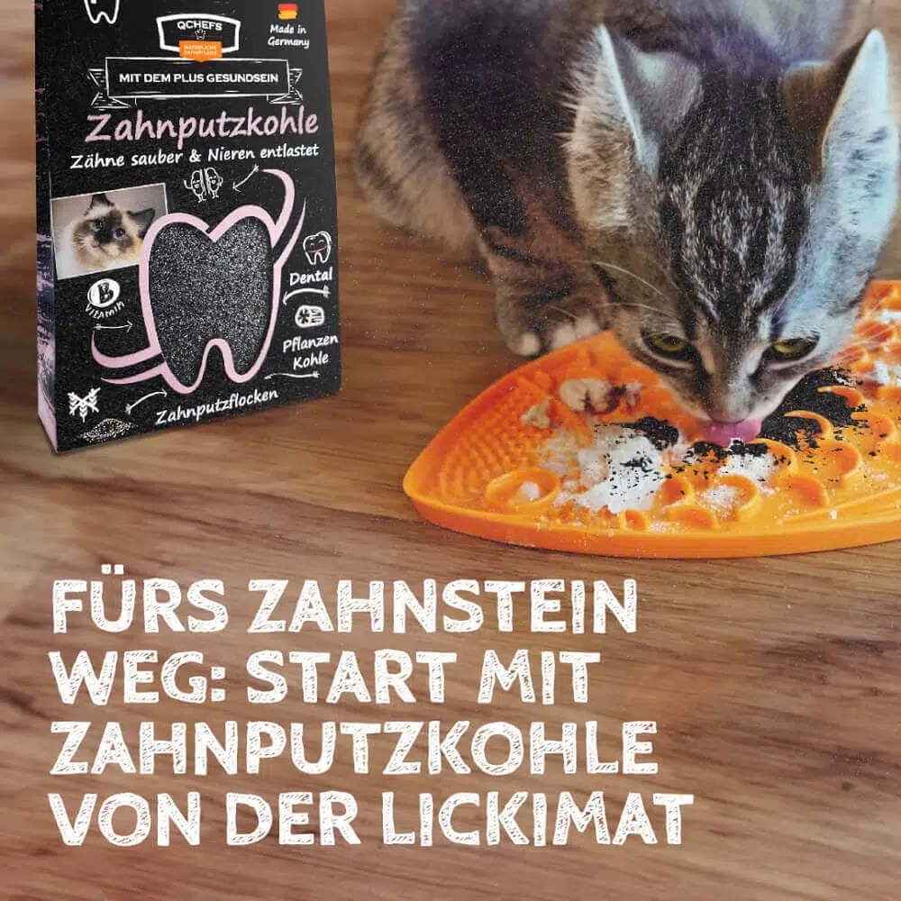 Zahnputzkohle Katze