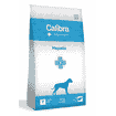 Canine Hepatic