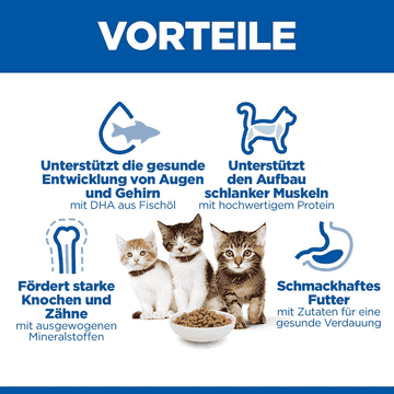 Kitten Tuna (neu: Salmon!)