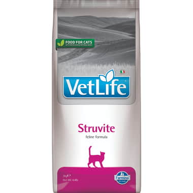 Feline Struvite
