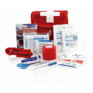 Set de premiers secours