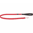 Elegant Red leashes