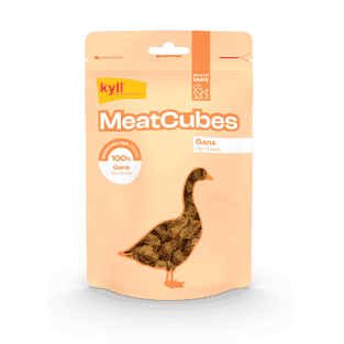 MeatCubes Gans