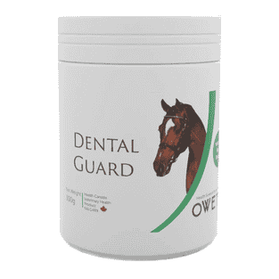 Dental Guard