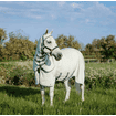 Rambo Hoody fly rug