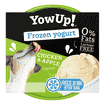 Dog Frozen Yogurt