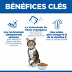 Feline Oral Care