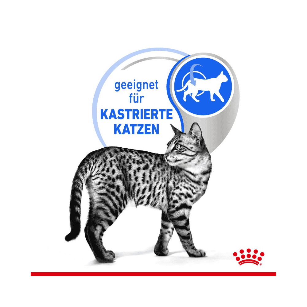 Indoor Cat 7+ - Frischebeutel