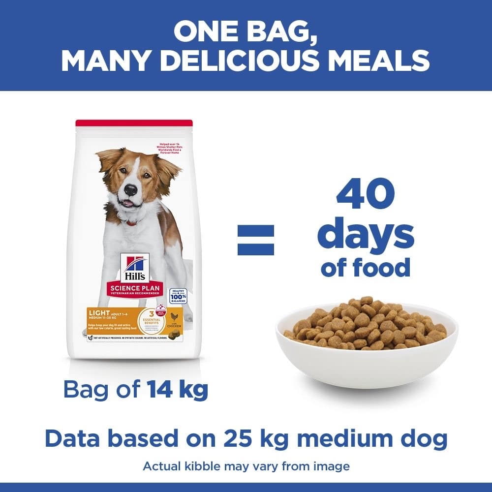 Canine Adult Light Medium Breed
