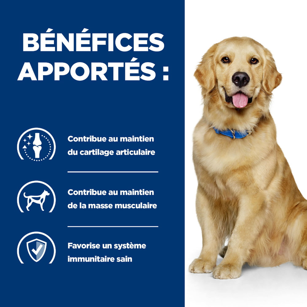 Canine j/d Mobility - en boîte