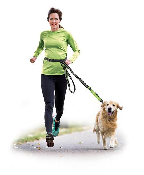 Joggingleine mit Gürtel