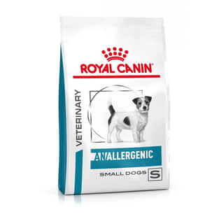 Anallergenic Small Dogs