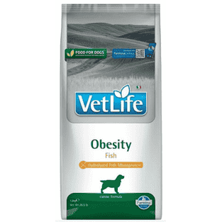 Canine Obesity Fisch