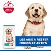 Puppy Large Breed