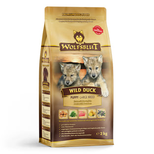 Wild Duck Large Breed Puppy