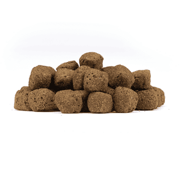 Limited Ingredients Canine Adult Dark Forest