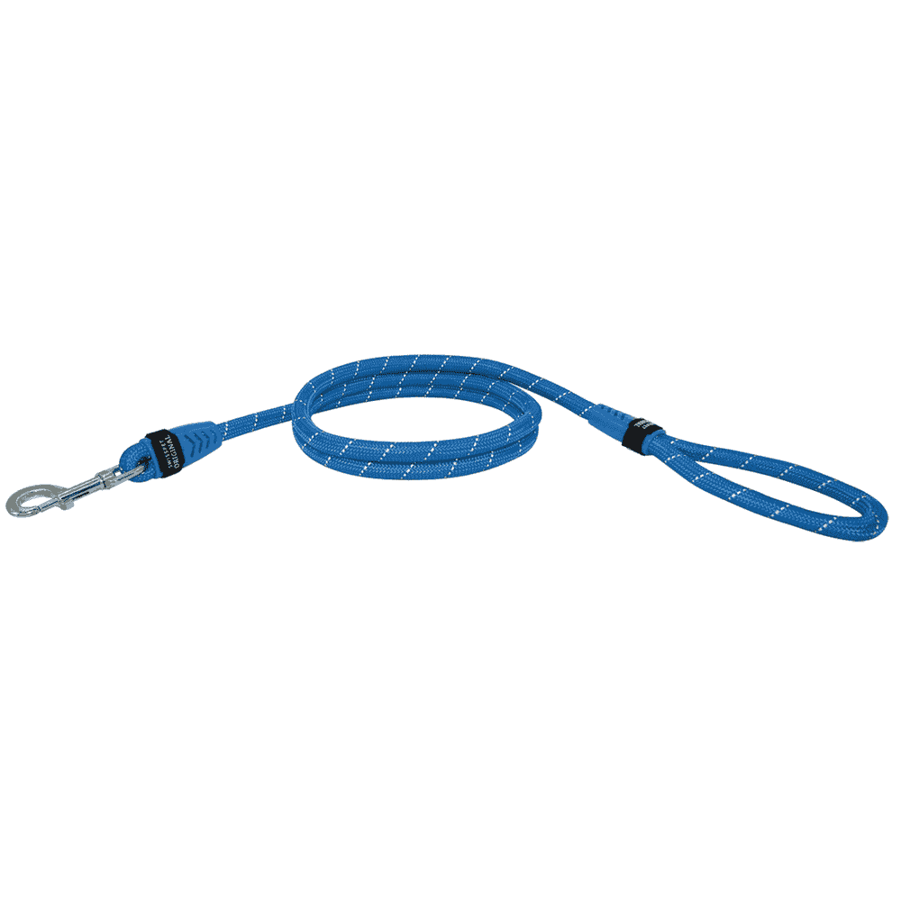 City leash Bungee