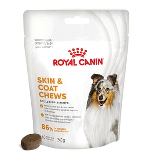Skin & Coat Chews Adult Supplements