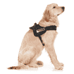 S.W.A.T harness for dogs