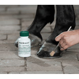 Fixateur de sabot Huf-Festiger