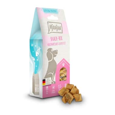 Dog Snackbox - kulinarisches Lachsfilet