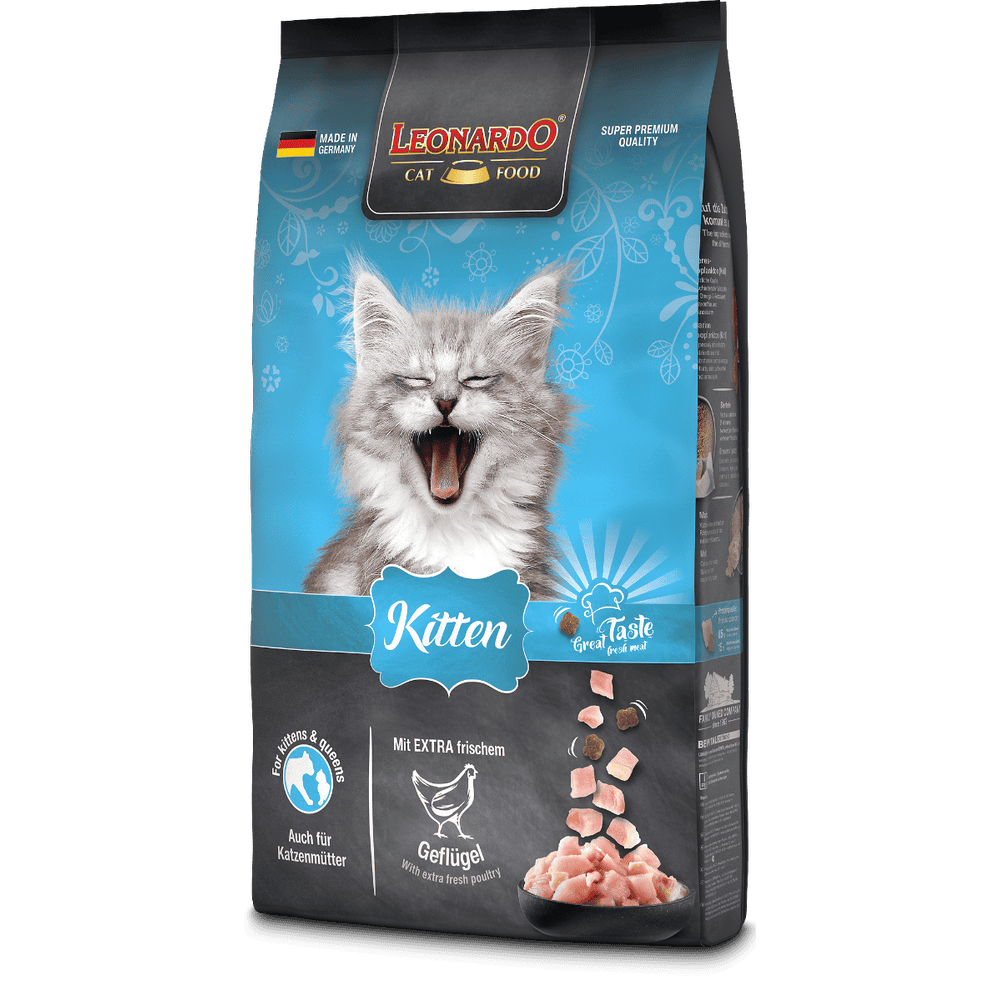 Kitten mit Geflügel