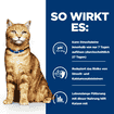 Feline c/d Multicare Urinary Care Chicken Stew - Can