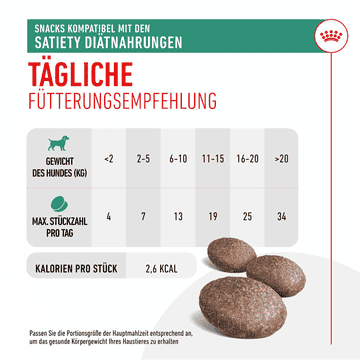 Satiety Snacks