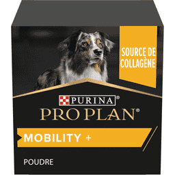Dog Mobility +