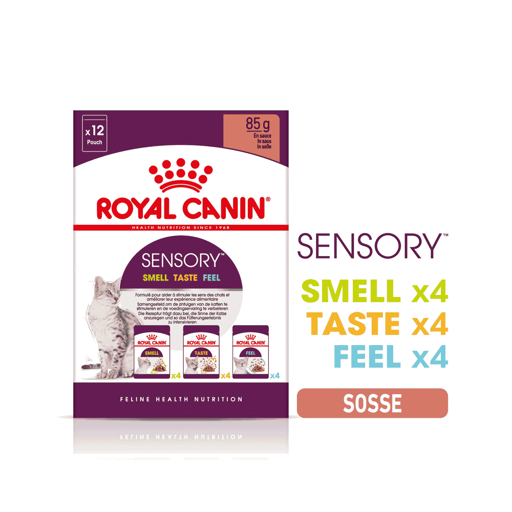 SENSORY SMELL, TASTE, FEEL in sauce, fresh pouches