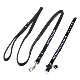 Set Azure: Halsband & Leine für Katzen & Hunde